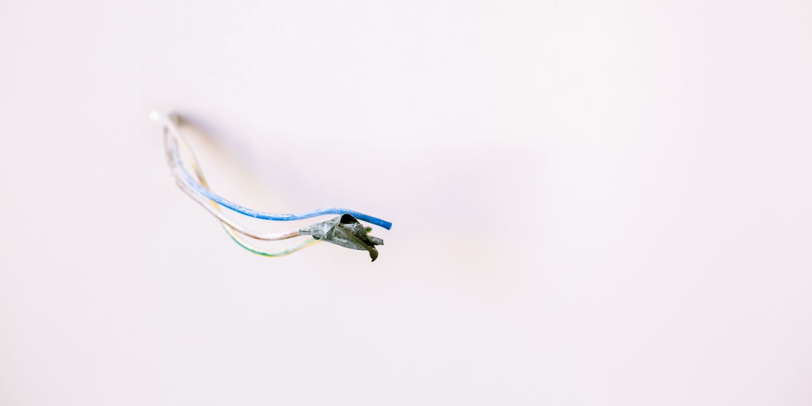 Duvarda yeni elektrik tesisatı için hazırlanmış kablo çıkışı